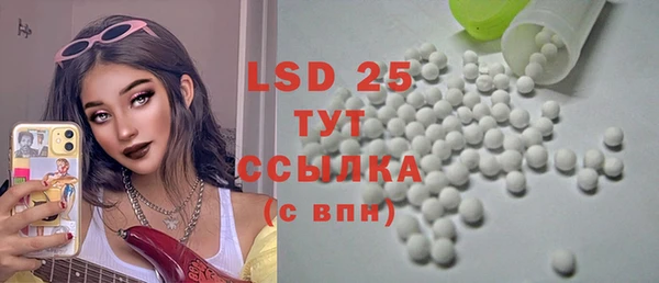 ПСИЛОЦИБИНОВЫЕ ГРИБЫ Вязники