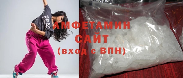 ПСИЛОЦИБИНОВЫЕ ГРИБЫ Вязники