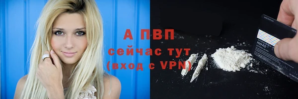 ПСИЛОЦИБИНОВЫЕ ГРИБЫ Вязники