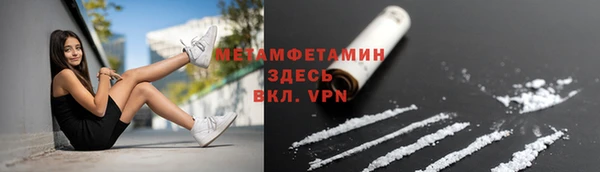 прущая мука Вяземский