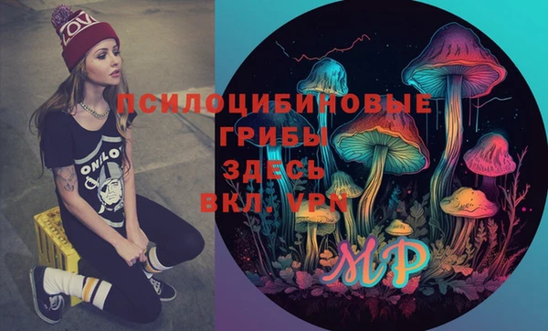ПСИЛОЦИБИНОВЫЕ ГРИБЫ Вязники