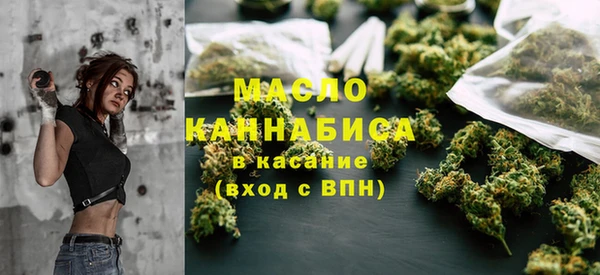 прущая мука Вяземский