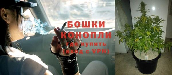 прущая мука Вяземский